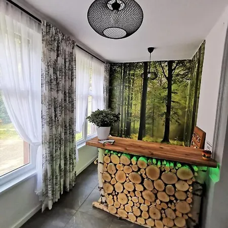 Haus Anna Altenberg (Erzgebirge)