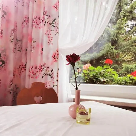 Haus Anna 3* Altenberg (Erzgebirge)