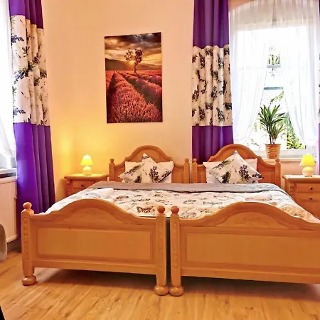 Haus Anna Altenberg (Erzgebirge)