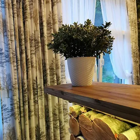 Guest house Haus Anna Altenberg