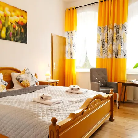 Gasthof Haus Anna Altenberg (Erzgebirge)