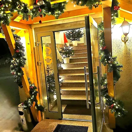 Haus Anna Altenberg (Erzgebirge)