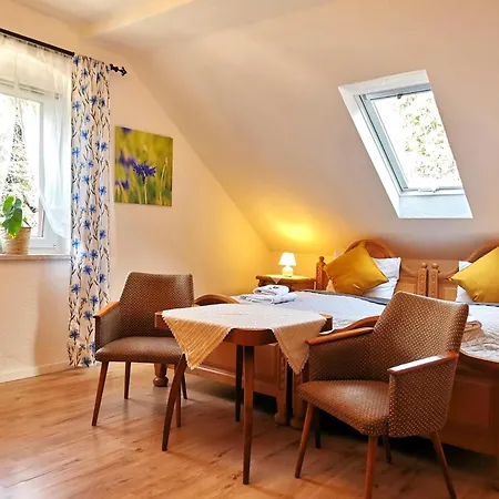 게스트하우스 Haus Anna Altenberg