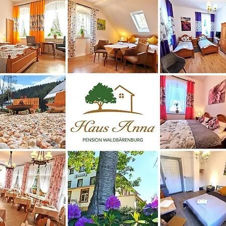 Haus Anna 3* Altenberg (Erzgebirge)