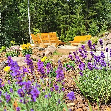 Haus Anna 3* Altenberg (Montes Metalíferos)