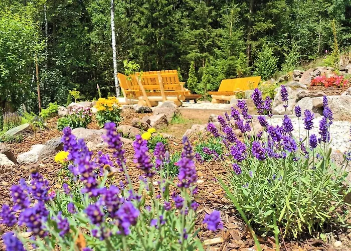 Haus Anna 3* Altenberg